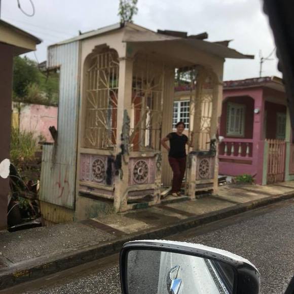 Meet your Posher, Rosa iris - Picture 1 of 1